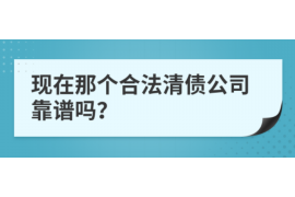 百色为什么选择专业追讨公司来处理您的债务纠纷？